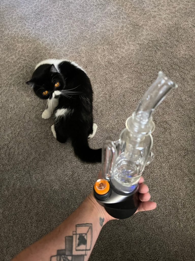 Image #1 from Jamie S.