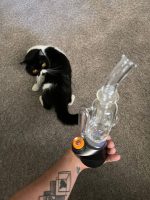 Review of WIIDZ® Barrel Puffco Peak Pro Glass Attachment by Jamie Sparks